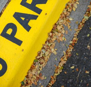 no parking on a curb